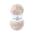 DMC Mini Magnum Tweed Colour Yarn (102)