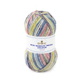 DMC Mini Magnum Tweed Colour Yarn (103)