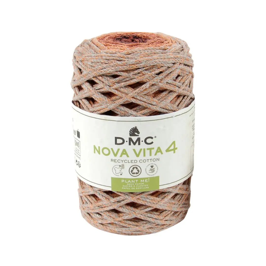 DMC Eco Vita 4 Multicoloured Yarn (105)