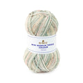 DMC Mini Magnum Tweed Colour Yarn (107)