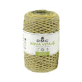 DMC Eco Vita 4 Multicoloured Yarn (108)