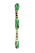DMC Embroidery Floss (The Green Shades) (125 - variegated seafoam green)