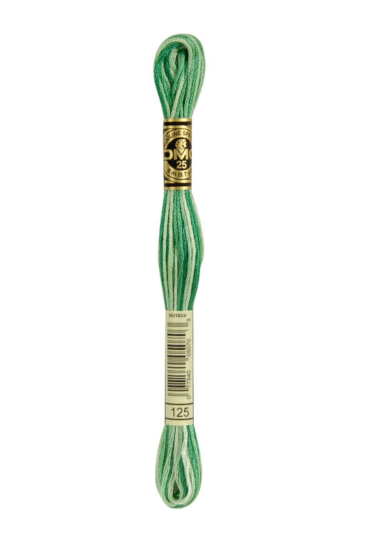 DMC Embroidery Floss (The Green Shades) (125 - variegated seafoam green)