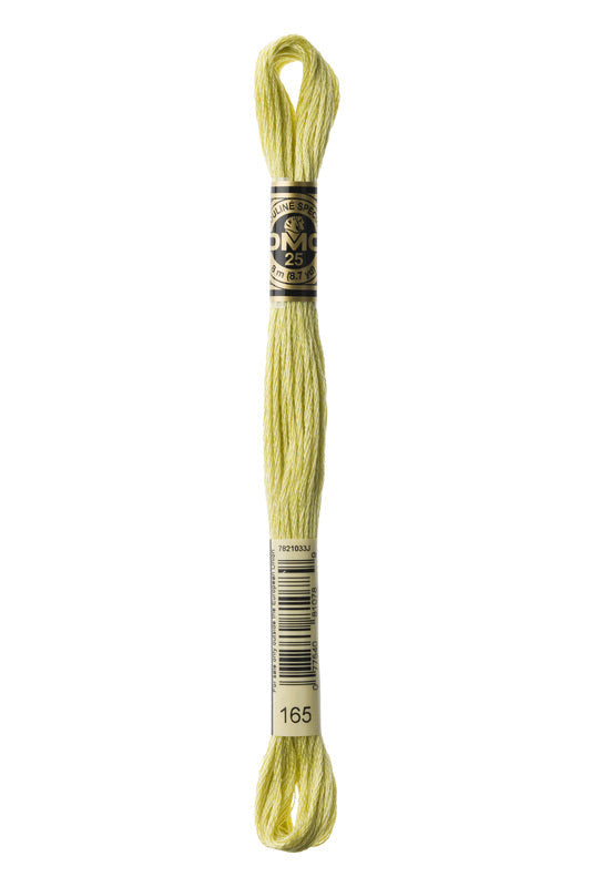 DMC Embroidery Floss (The Green Shades) (165 - very light moss green)