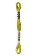 DMC Embroidery Floss (The Green Shades) (166 - medium light moss green)