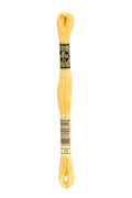 DMC Embroidery Floss (The Yellow Shades) (19 - medium light autumn gold)