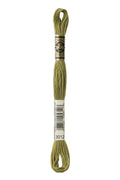 DMC Embroidery Floss (The Green Shades) (3012 - medium khaki green)