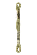 DMC Embroidery Floss (The Green Shades) (3013 - light khaki green)