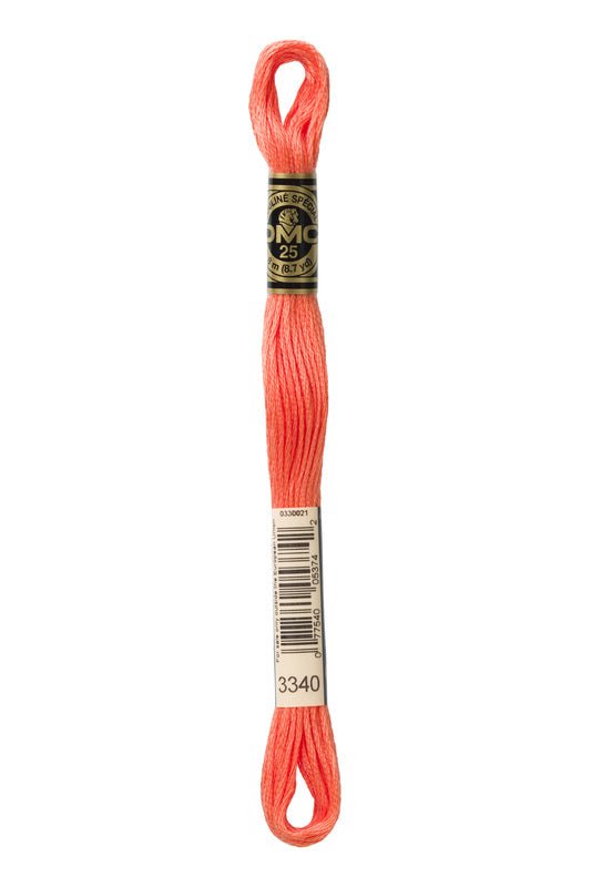 DMC Embroidery Floss (The Orange Shades) (3340 - medium apricot)