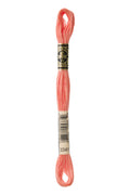 DMC Embroidery Floss (The Orange Shades) (3341 - apricot)