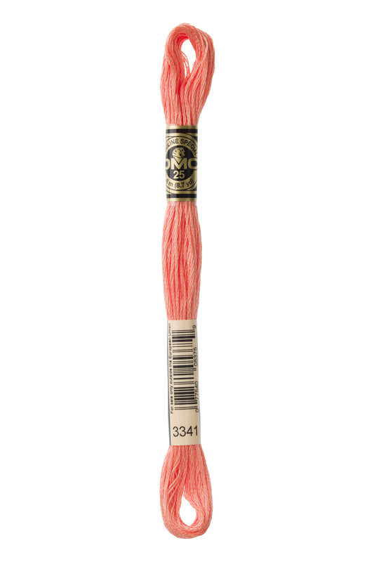 DMC Embroidery Floss (The Orange Shades) (3341 - apricot)