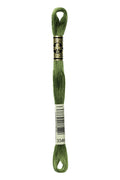 DMC Embroidery Floss (The Green Shades) (3346 - hunter green)