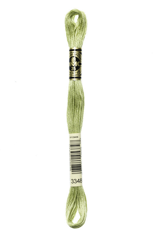 DMC Embroidery Floss (The Green Shades) (3348 - light yellow green)