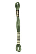 DMC Embroidery Floss (The Green Shades) (3363 - medium pine green)