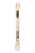 DMC Embroidery Floss (The Brown Shades) (3770 - very light tawny)
