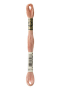 DMC Embroidery Floss (The Orange Shades) (3771 - ultra very light terra cotta)