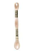 DMC Embroidery Floss (The Brown Shades) (3774 - very light desert sand)