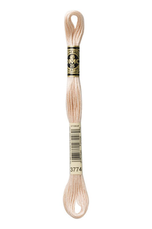 DMC Embroidery Floss (The Brown Shades) (3774 - very light desert sand)