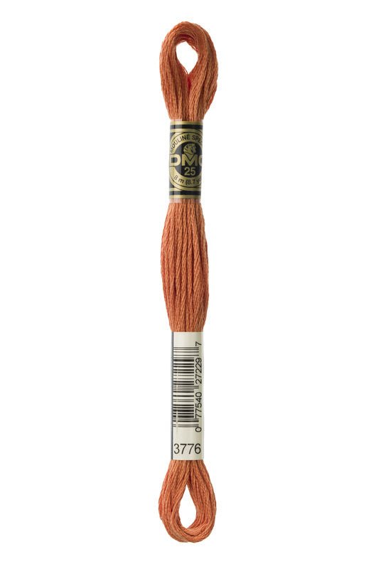 DMC Embroidery Floss (The Brown Shades) (3776 - light mahogany)
