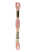 DMC Embroidery Floss (The Pink Shades) (3779 - ultra very light rosewood)