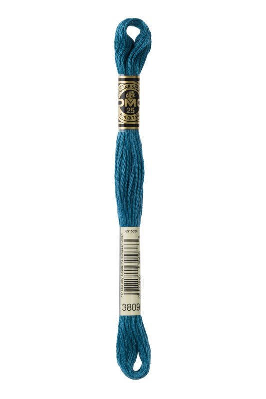 DMC Embroidery Floss (The Blue Shades) (3809 - very dark turquoise)