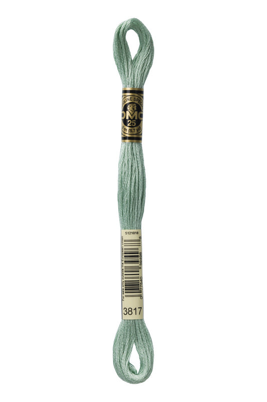 DMC Embroidery Floss (The Green Shades) (3817 - light celadon green)