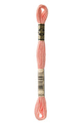 DMC Embroidery Floss (The Orange Shades) (3824 - light apricot)