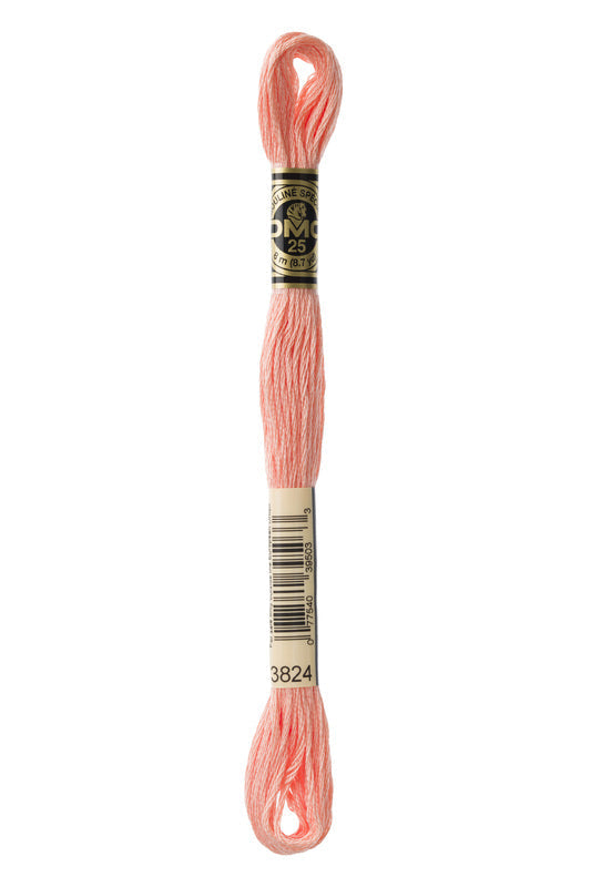 DMC Embroidery Floss (The Orange Shades) (3824 - light apricot)