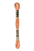 DMC Embroidery Floss (The Orange Shades) (3825 - pale pumpkin)
