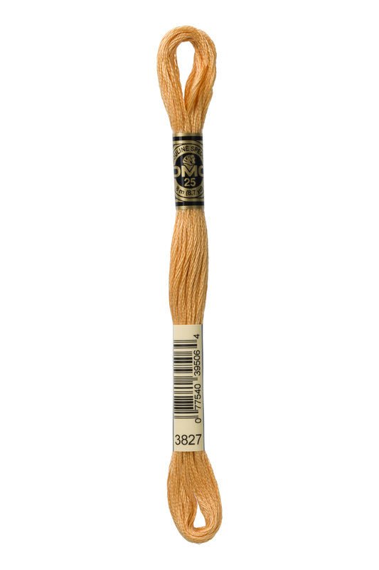 DMC Embroidery Floss (The Brown Shades) (3827 - pale golden brown)