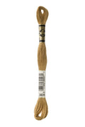 DMC Embroidery Floss (The Brown Shades) (3828 - hazelnut brown)