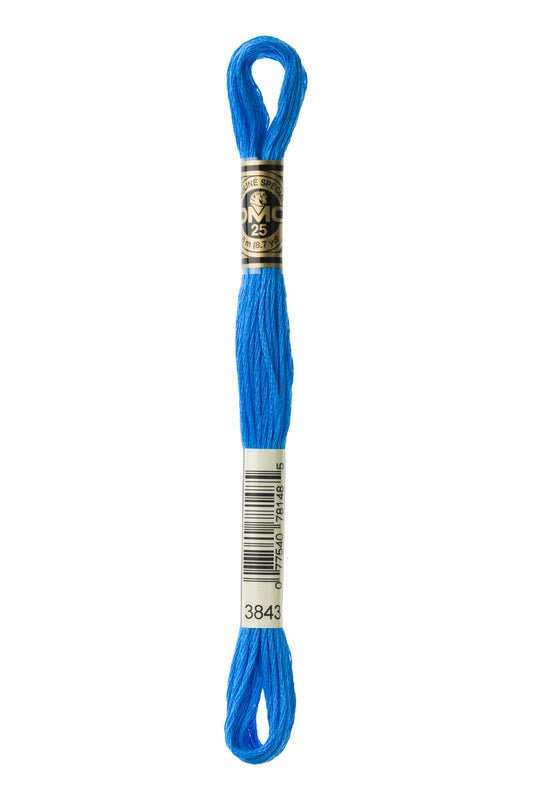 DMC Embroidery Floss (The Blue Shades) (3843 - electric blue)