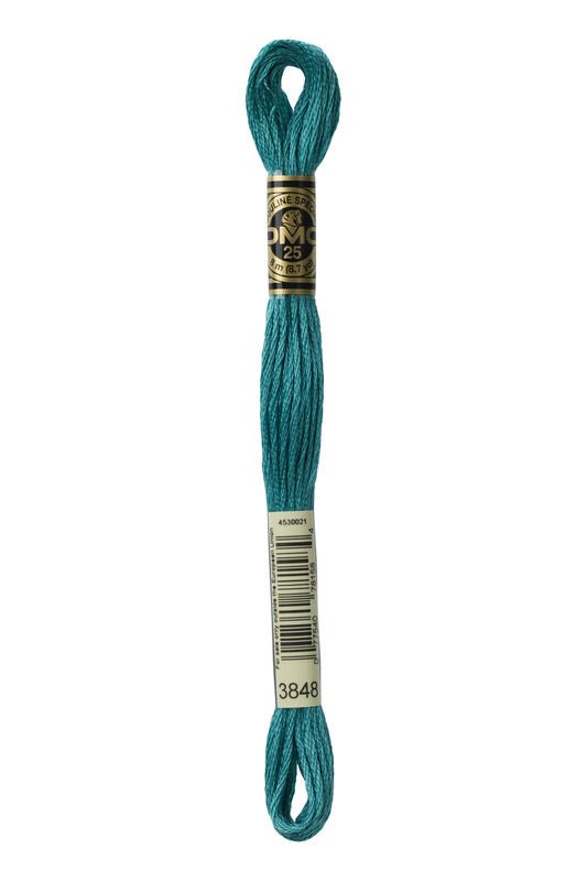 DMC Embroidery Floss (The Blue Shades) (3848 - medium teal green)
