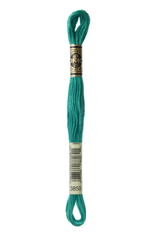DMC Embroidery Floss (The Green Shades) (3850 - dark bright green)