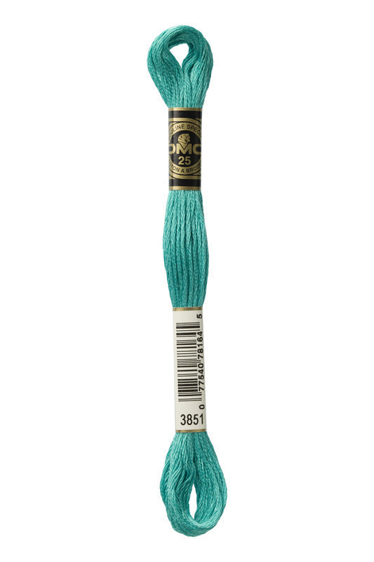 DMC Embroidery Floss (The Green Shades) (3851 - light bright green)