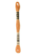 DMC Embroidery Floss (The Orange Shades) (3854 - medium autumn gold)