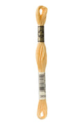 DMC Embroidery Floss (The Orange Shades) (3855 - light autumn gold)