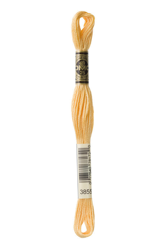 DMC Embroidery Floss (The Orange Shades) (3855 - light autumn gold)