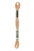 DMC Embroidery Floss (The Brown Shades) (3856 - ultra very light mahogany)