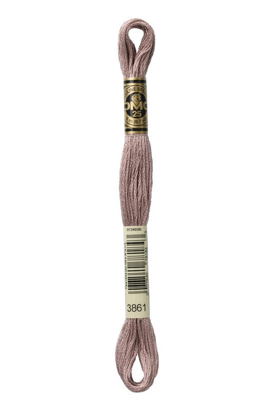DMC Embroidery Floss (The Brown Shades) (3861 - light cocoa)