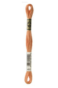 DMC Embroidery Floss (The Brown Shades) (402 - very light mahogany)