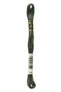 DMC Embroidery Floss (The Green Shades) (520 - dark fern green)