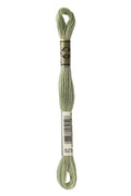 DMC Embroidery Floss (The Green Shades) (523 - light fern green)