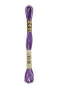 DMC Embroidery Floss (The Purple Shades) (52 - variegated violet)