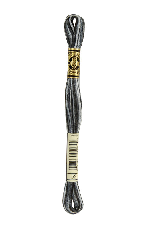 DMC Embroidery Floss (The Grey Shades) (53 - variegated steel grey)