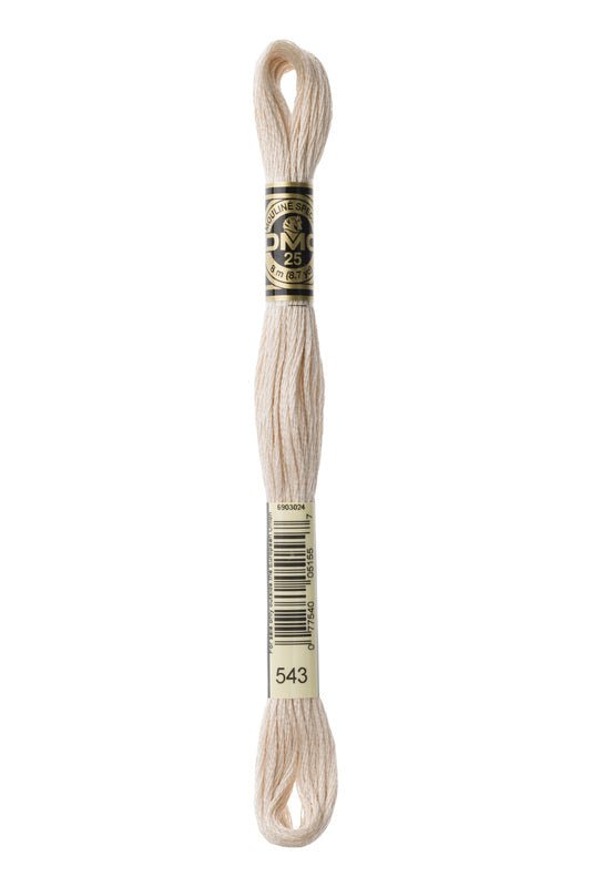 DMC Embroidery Floss (The Brown Shades) (543 - ultra very light beige brown)