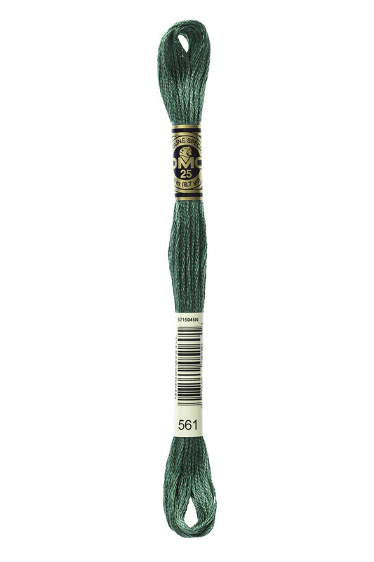 DMC Embroidery Floss (The Green Shades) (561 - very dark jade)