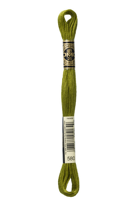 DMC Embroidery Floss (The Green Shades) (580 - dark moss green)