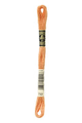 DMC Embroidery Floss (The Orange Shades) (722 - light orange spice)