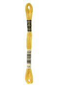 DMC Embroidery Floss (The Yellow Shades) (725 - topaz)